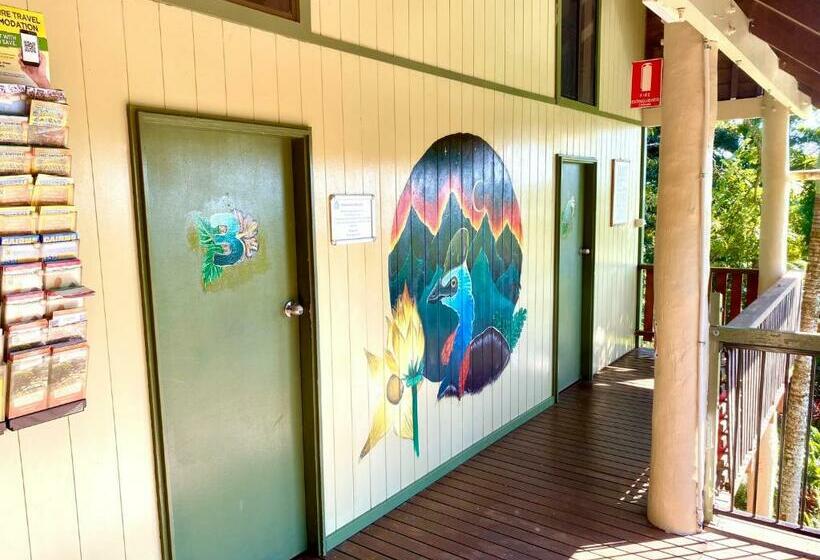 공동 객실, Jackaroo Treehouse Rainforest Retreat