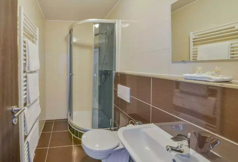 اتاق استاندارد یک نفره, City Hotel Wetzlar