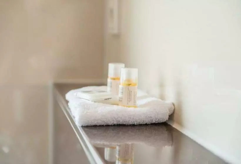 اتاق استاندارد یک نفره, City Hotel Wetzlar