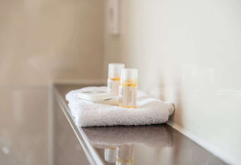 １ベッドルームアパートメント, City Hotel Wetzlar