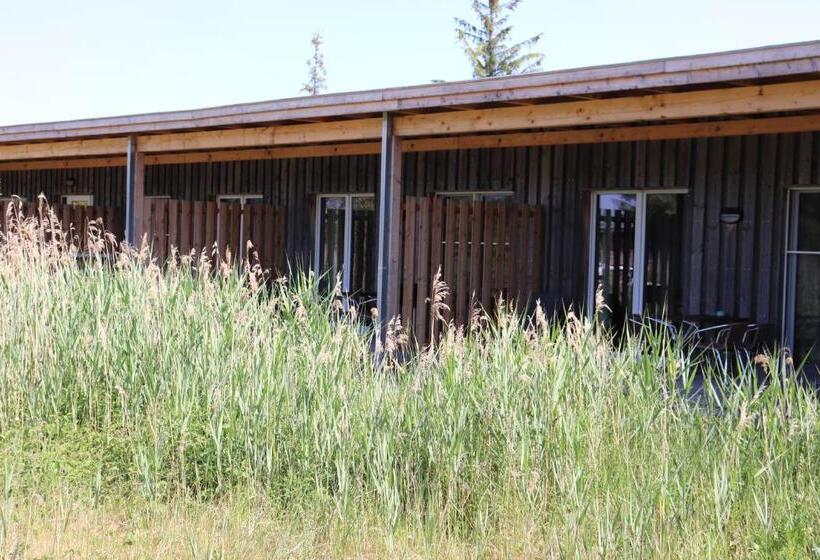 テラス付き1ベッドルームアパートメント, Halbinsel Resort Peenemünde