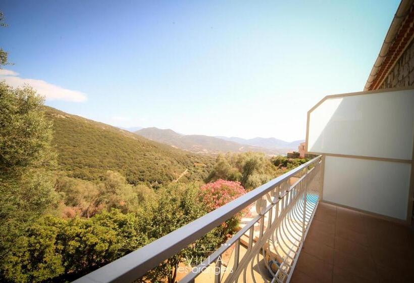 舒适型房间, Hôtel Villa Les Orangers