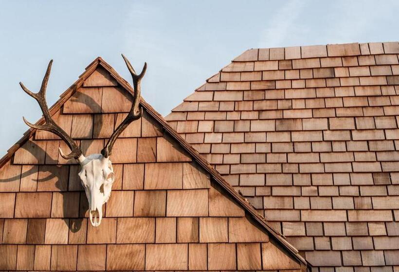 شقة غرفة واحدة, The Bell In Ticehurst