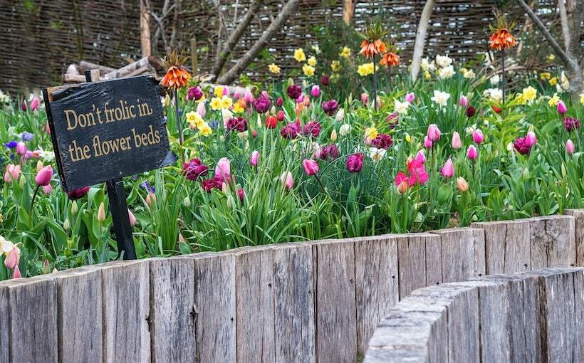 غرفة كلاسيكية, The Bell In Ticehurst