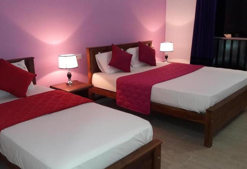 デラックストリプルルーム, New Rani Inn