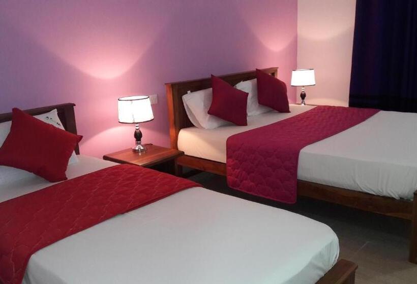 デラックストリプルルーム, New Rani Inn