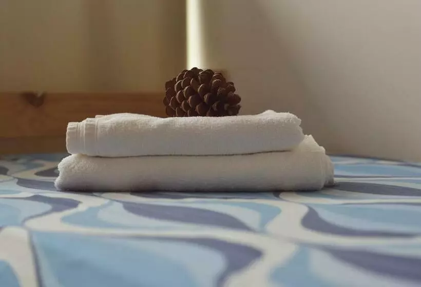 ルームシェアのワンベッド, Pinamar Hostel Casa De Verano