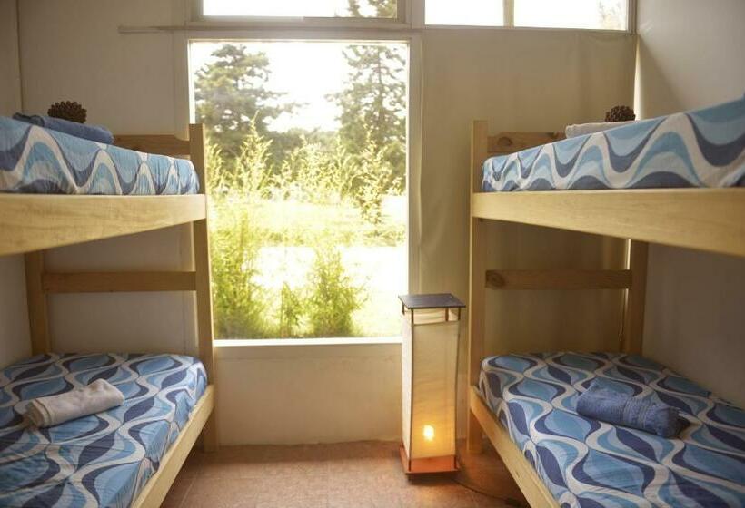 共用房间的床, Pinamar Hostel Casa De Verano