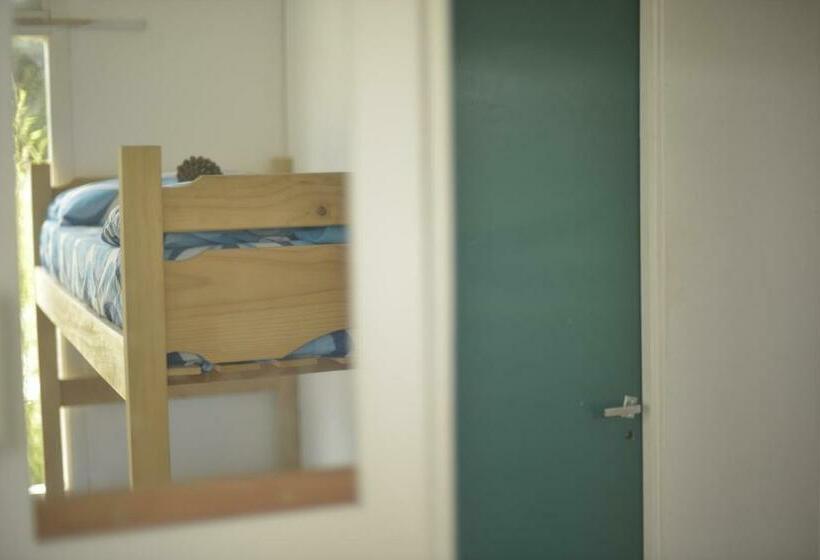 共用房间的床, Pinamar Hostel Casa De Verano