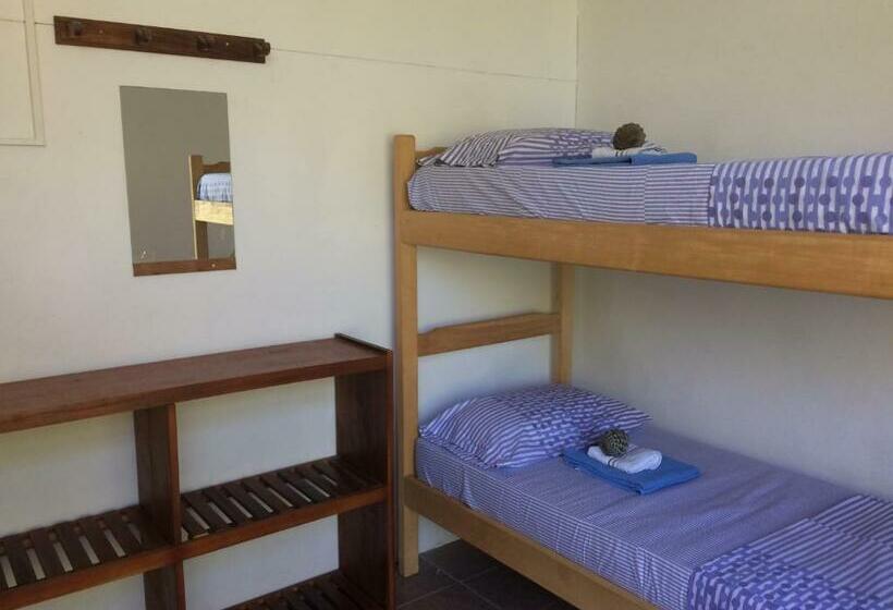 共用房间的床, Pinamar Hostel Casa De Verano