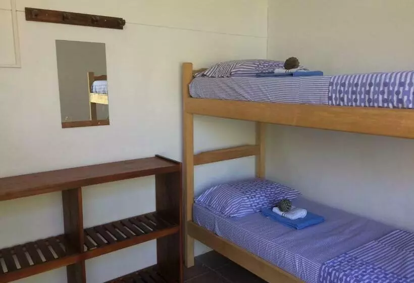 ルームシェアのワンベッド, Pinamar Hostel Casa De Verano