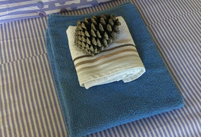 共用房间的床, Pinamar Hostel Casa De Verano