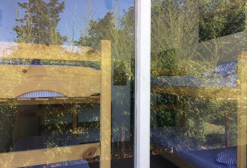 共用房间的床, Pinamar Hostel Casa De Verano