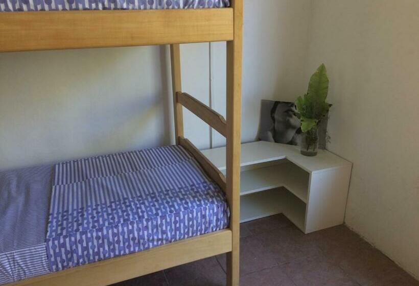 共用房间的床, Pinamar Hostel Casa De Verano