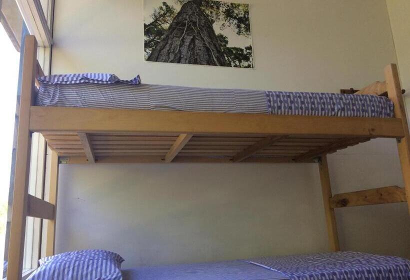 共用房间的床, Pinamar Hostel Casa De Verano