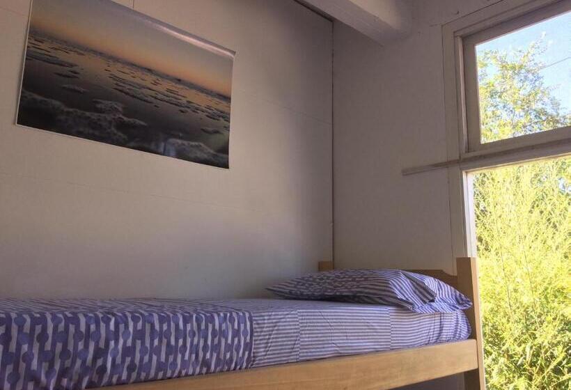 共用房间的床, Pinamar Hostel Casa De Verano