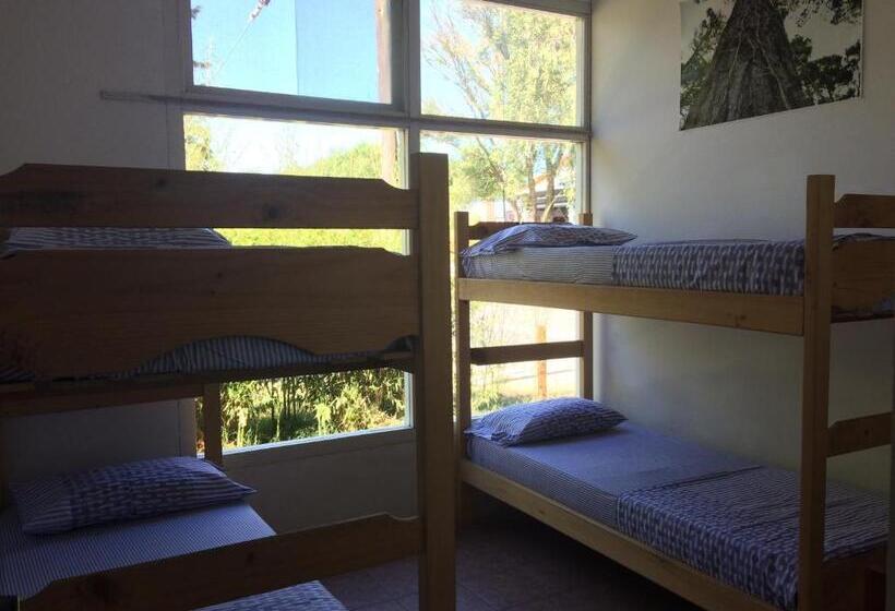 공동 객실, Pinamar Hostel Casa De Verano