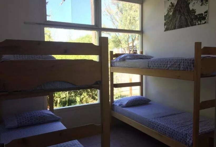 バス共有のスタンダードルーム, Pinamar Hostel Casa De Verano