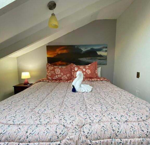 غرفة ديلوكس, Katarsy´s Hostel