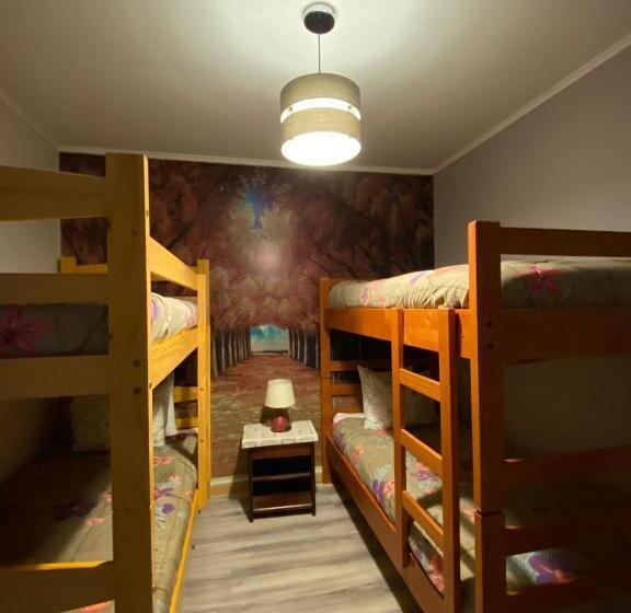 غرفة قياسية رباعية حمام مشترك, Katarsy´s Hostel