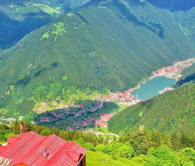 غرفة قياسية سرير كينج, Panorama Otel