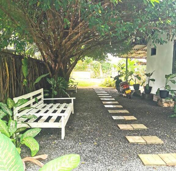 Номер Стандарт, Back Yard Madiha   Restaurant And Rooms