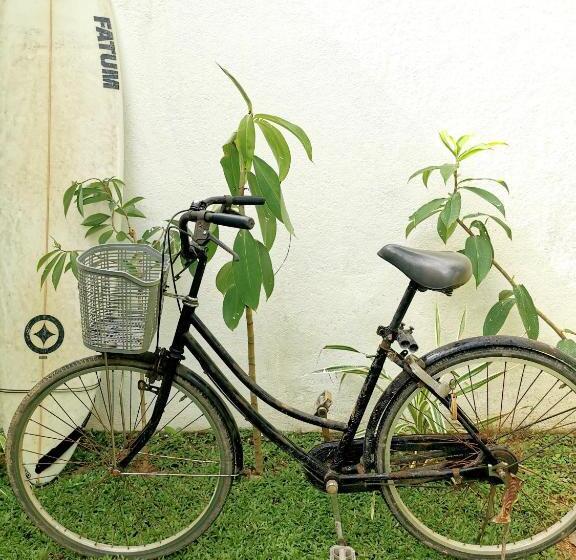 غرفة قياسية, Back Yard Madiha Restaurant And Rooms