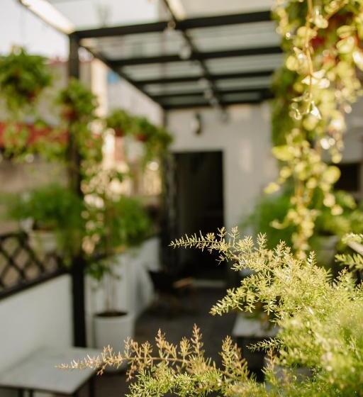 اتاق استاندارد با تخت بزرگ, Lanha Hotel   Homestay