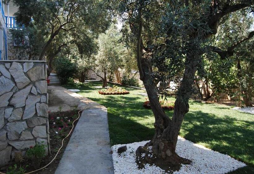 غرفة قياسية مطلّة علي الحديقة, Marmada Otel