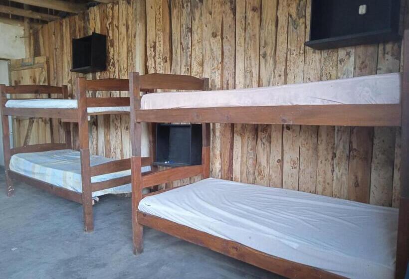 ルームシェアのワンベッド, Vida Playera