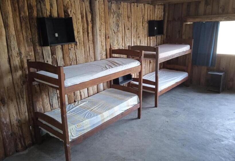 ルームシェアのワンベッド, Vida Playera