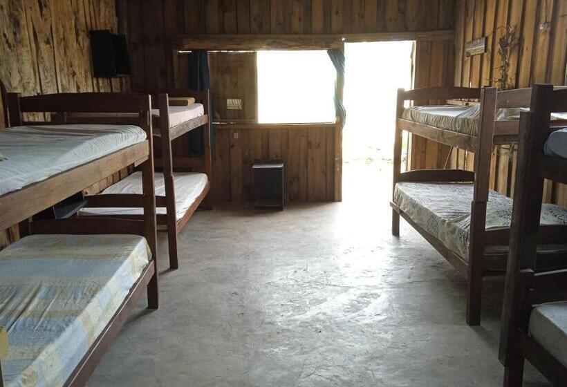 ルームシェアのワンベッド, Vida Playera