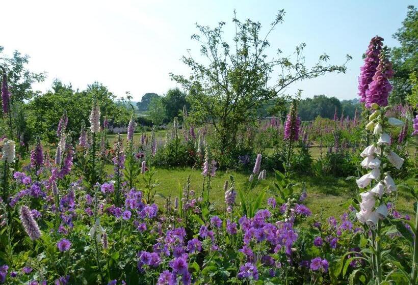 Номер Стандарт, The Great Hall