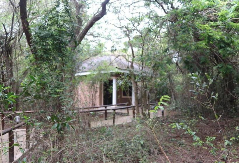 Стандартный Номер Кровать Кинг, The Galaxy Forest Lodge