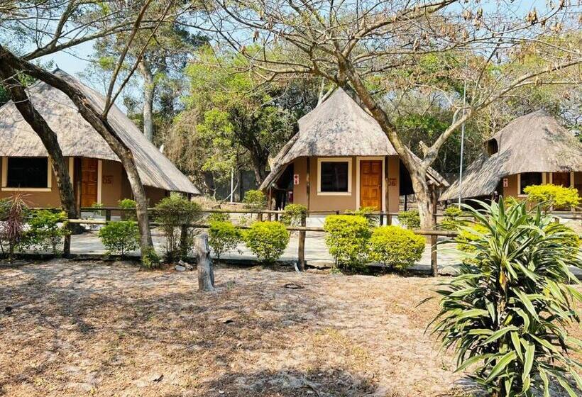 חדר סטנדרט עם מיטת קינג, The Galaxy Forest Lodge