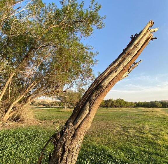 マウンテンビュースイート, منتجع جلامبنغ   Glamping Resort