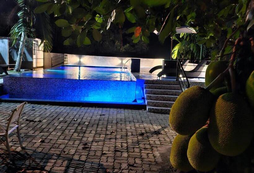 带大床的标准间, Ellakanda Nature Villa