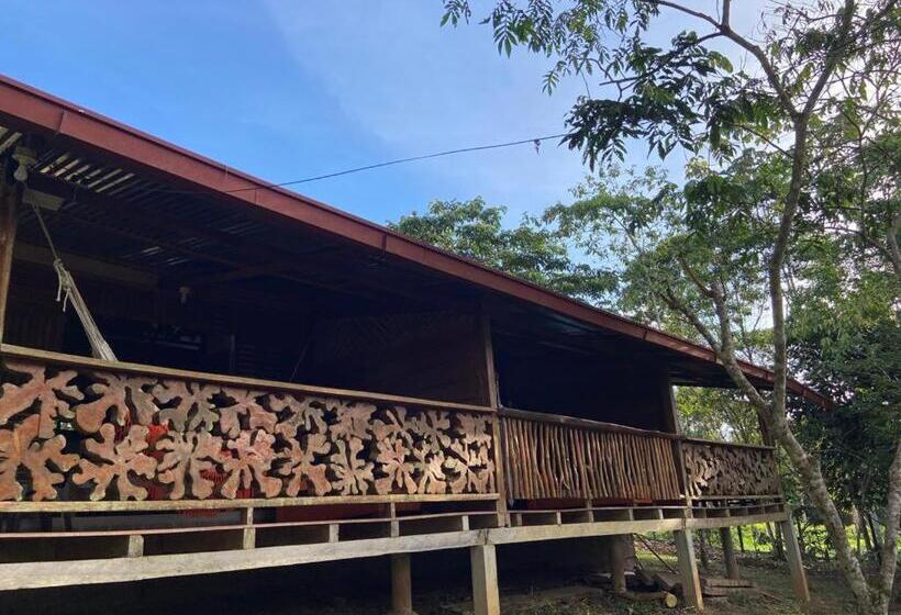 带大床的标准间, Kofan Eco