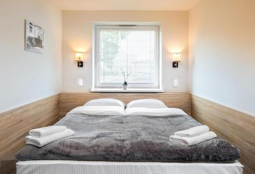 Quarto Estandar, Automobil