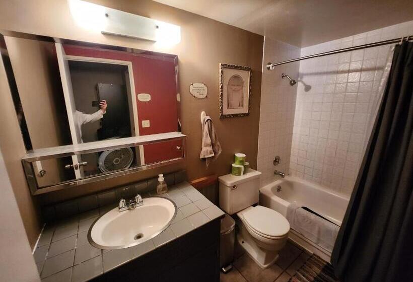 공동 객실, Eugene Lodge And International Hostel