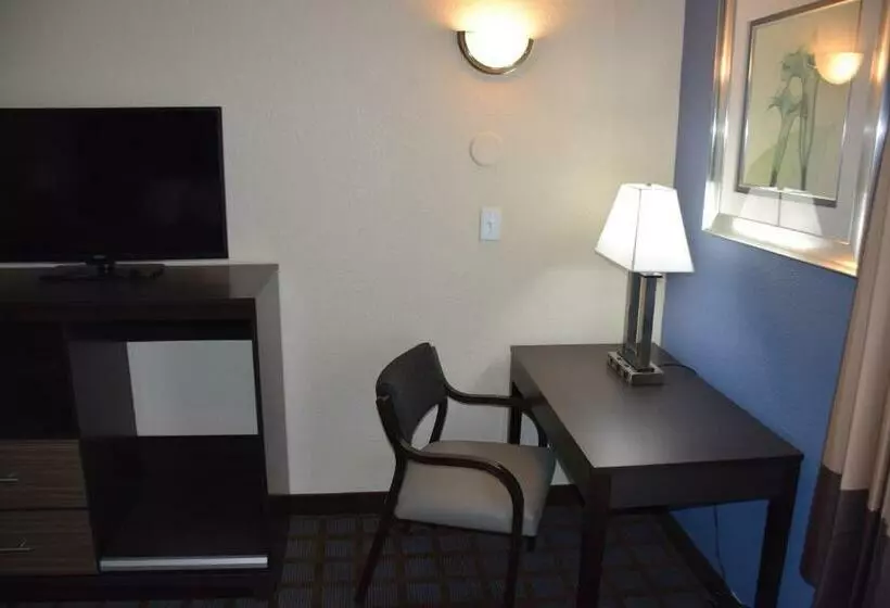 キングサイズベッドのデラックススイート, Hawthorn Suites By Wyndham Columbia