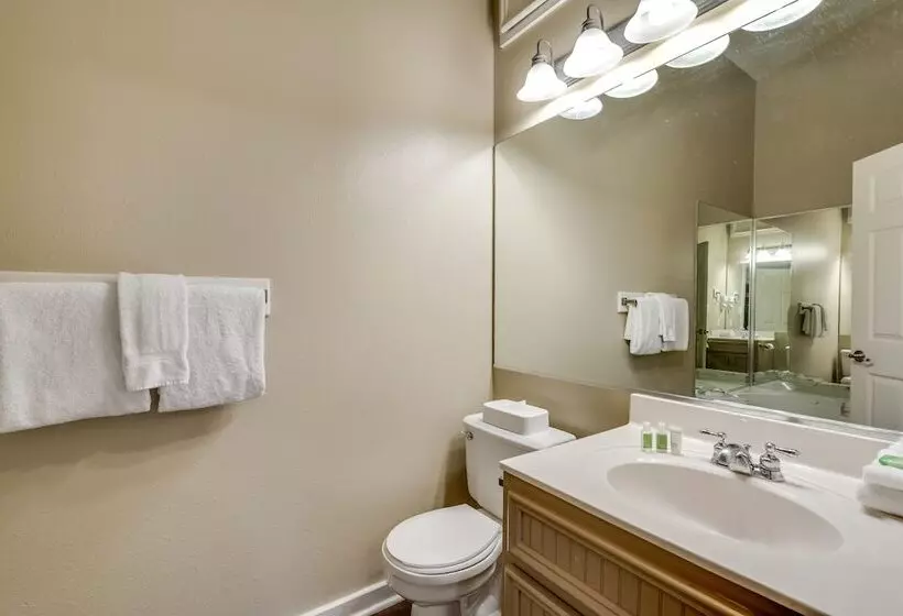 スタンダードルーム, Holiday Inn Club Vacations Piney Shores Resort At Lake Conroe