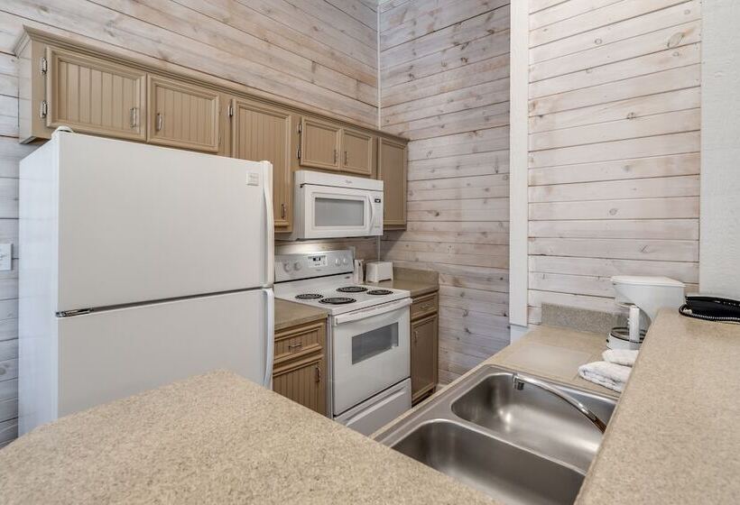 غرفة قياسية, Holiday Inn Club Vacations Piney Shores Resort At Lake Conroe