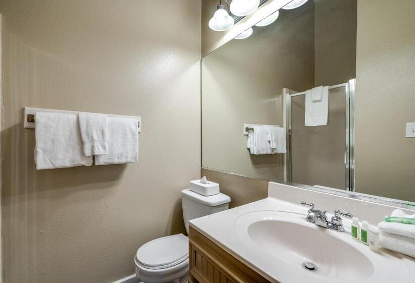 فيلا غرفتين نوم, Holiday Inn Club Vacations Piney Shores Resort At Lake Conroe