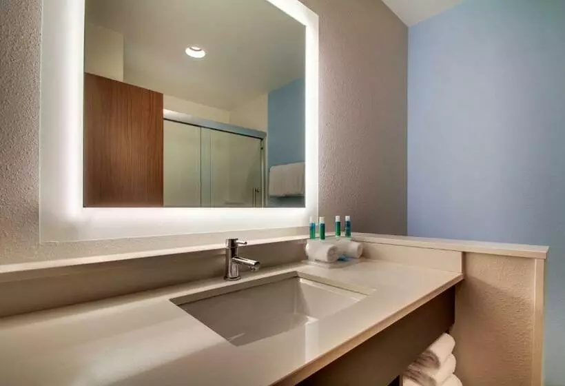 スタンダードルーム, Holiday Inn Express & Suites Charleston Ne Mt Pleasant Us17, An Ihg