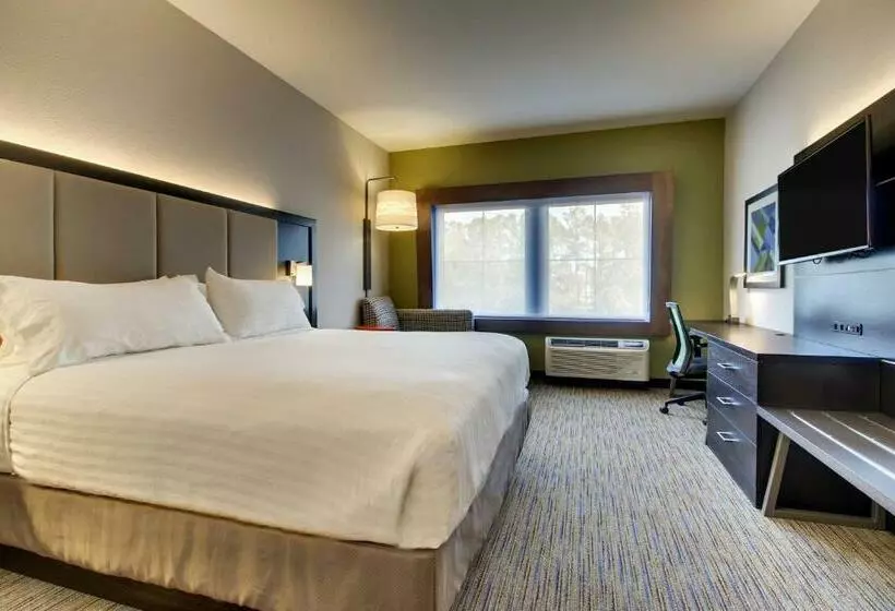 スタンダードルーム, Holiday Inn Express & Suites Charleston Ne Mt Pleasant Us17, An Ihg