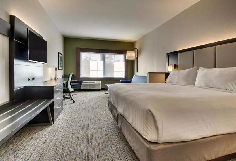 キングサイズベッドのスイートルーム, Holiday Inn Express & Suites Charleston Ne Mt Pleasant Us17, An Ihg