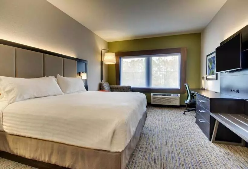身障者適用キングサイズベッドルーム, Holiday Inn Express & Suites Charleston Ne Mt Pleasant Us17, An Ihg