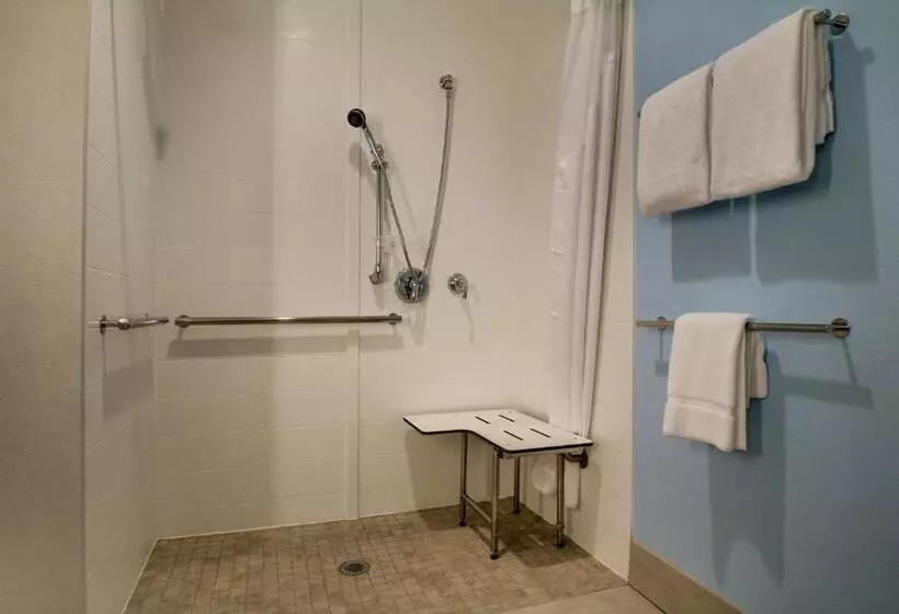 身障者適用キングサイズベッドルーム, Holiday Inn Express & Suites Charleston Ne Mt Pleasant Us17, An Ihg