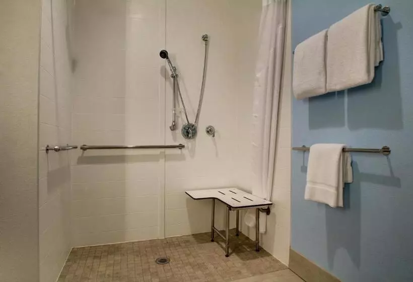 身障者適用キングサイズベッドルーム, Holiday Inn Express & Suites Charleston Ne Mt Pleasant Us17, An Ihg